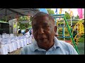 Lambert Pemmawadu Adamedia Tv Wish