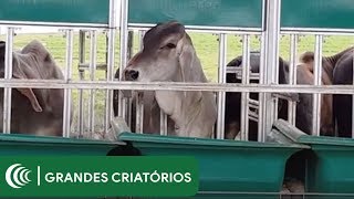 Miniatura do vídeo