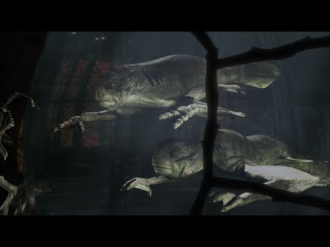 Xindi Aquatics meet Captain Archer