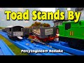 Tomy Toad Stands By 2016