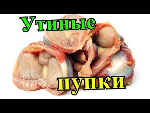 , title : 'Как Быстро и Легко очистить  УТИНЫЕ желудки от пленки!'