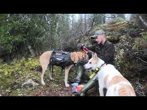 ERÄs Jahtipäivä 2