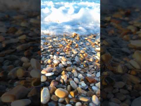 IL VIDEO PIÙ BELLO DELL’ESTATE 🌊🤩 | Provaci anche tu! ☀️