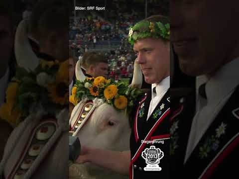 ESAF 2013 Burgdorf: Siegerehrung Schwingerkönig Matthias Sempach