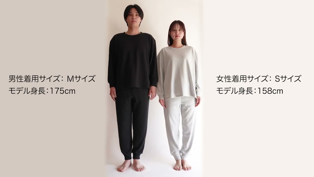 動画を読み込む: 