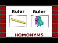 Homonyms | Examples of 50 homonyms | English Vocabulary | Homophones | Homographs
