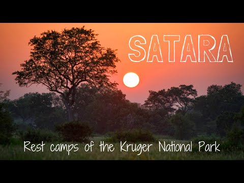 SATARA Rest Camp Review | Kruger National Park Accommodation #2