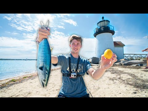 EPIC BEACHSIDE CATCH N' COOK! (This Fish ACTUALLY Tastes AMAZING!)