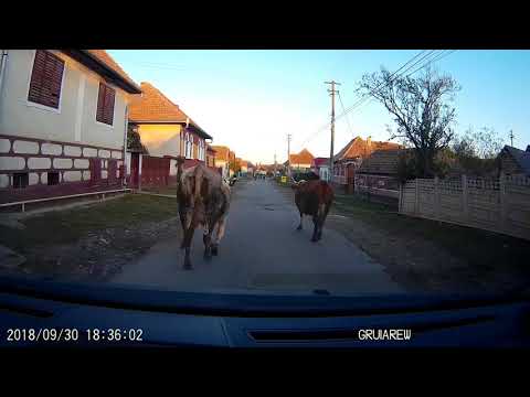 20180930 Armeni - Loamneș - Sibiu (DJ107B)