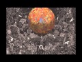 Apollo Sunshine - Coyote Hearing