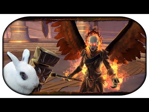 NEVERWINTER: Paladin-LP 🐇 217 - Kampf gegen Zariel