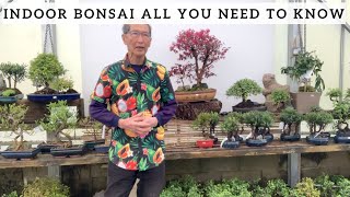 Download lagu Indoor Bonsai 'All You Need To Know' mp3 Download lagu Indoor Bonsai 'All You Need To Know' mp3