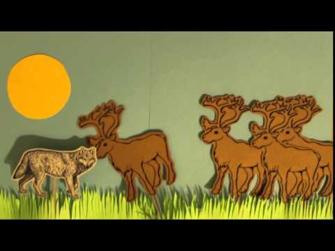 EEB 100 - Functional Response Curves