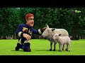 Pompierul Sam Catastrofa Zmeului S16E14