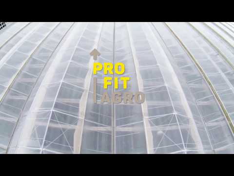 download lagu mp3 mp4 Agro F, download lagu Agro F gratis, unduh video klip Agro F