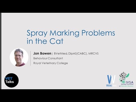 VET Talks- Spray Marking Problems in the Cat