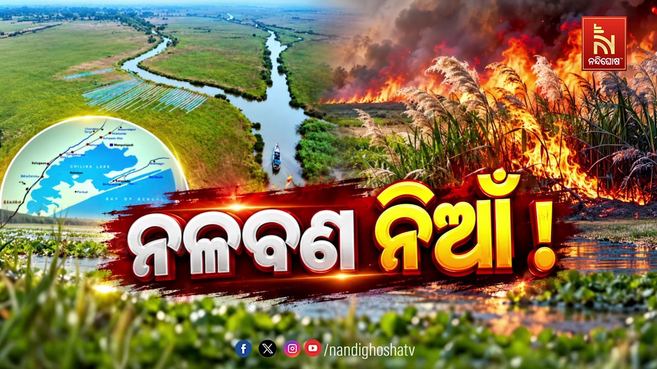 ନଳବଣ ନିଆଁ ! NandighoshaTV