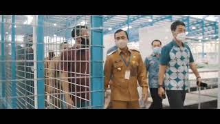 Download lagu kunjungan kerja Bp bupati k Batang apparel indonesia jawa tengah,, mp3 Download lagu kunjungan kerja Bp bupati k Batang apparel indonesia jawa tengah,, mp3