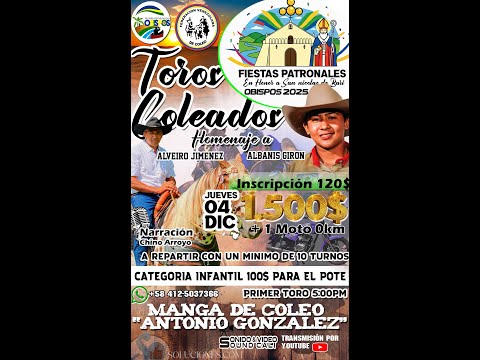 TOROS COLEADOS OBISPO ESTADO BARINAS