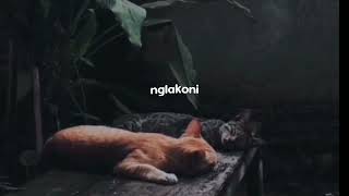 Download lagu story wa lagu jawa terbaru | lagu jawa sediih mp3 Download lagu story wa lagu jawa terbaru | lagu jawa sediih mp3