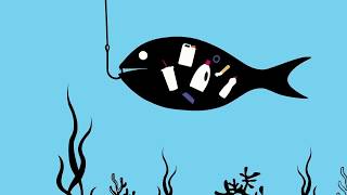 Πώς τα θαλάσσια απορρίμματα επιστρέφουν πάλι σε εμάς Title