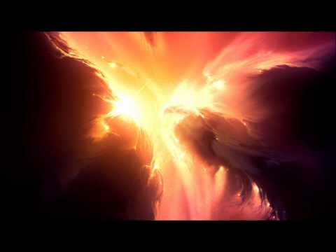 Dubstep | WeSpeakProse - Bird!