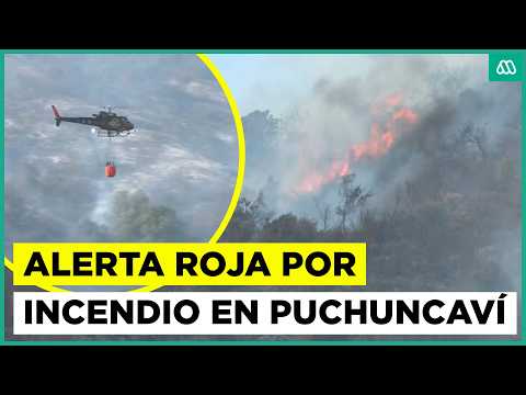 Alarma en Puchuncaví: solicitan evacuar sector de la región de Valparaíso por incendio forestal
