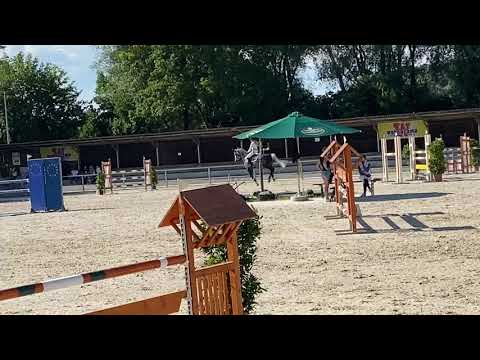 D’INCANTO (8yo D’Inzeo) 07.2020 Ingolstadt - 1. Platz 130 cm