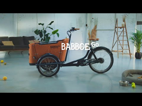 Triporteur électrique Babboe Go Mountain - moteur Yamaha, boîte Enviolo Nu Vinci, autonomie 20-50 km_3