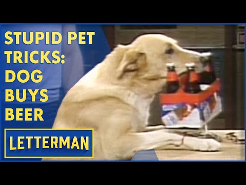 Stupid Petrics: Hilarious Pet Tricks on Display