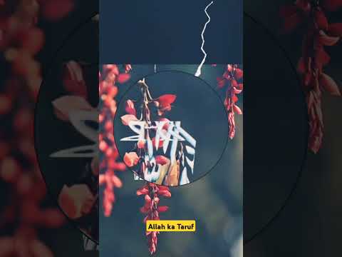 Most beautiful places in the world #allah #maulanatariqjameel #beautiful #nature #allahkataruf #100k