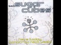 The Sugarcubes - Hey