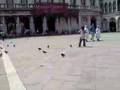 Feeding The Pigeons At St Marco Square 2008