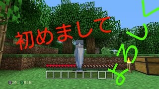 マイクラ実況　　［操作　声　バレンタイン］