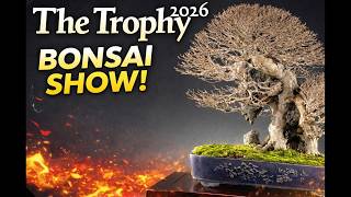 The Trophy 2026 - Genk Belgium