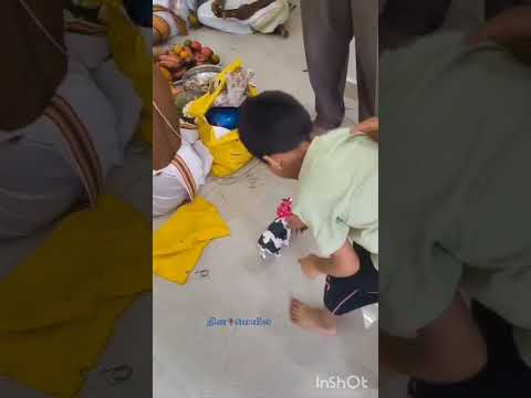 ரோபோ மாடு! எல்லாம் டெக்னாலஜி புது அபார்ட்மெண்ட் வீ...