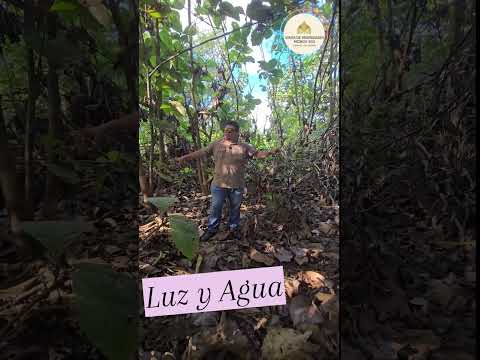 Parcela de 1 Manzana en El Cereto, Suchitoto, Cuscatlan, El Salvador!!! Super Barato!!