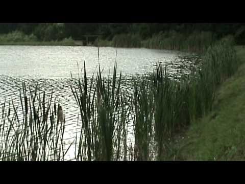 Jichisu de Sus Lake - Dej, Romania  (by Paul B) - HQ