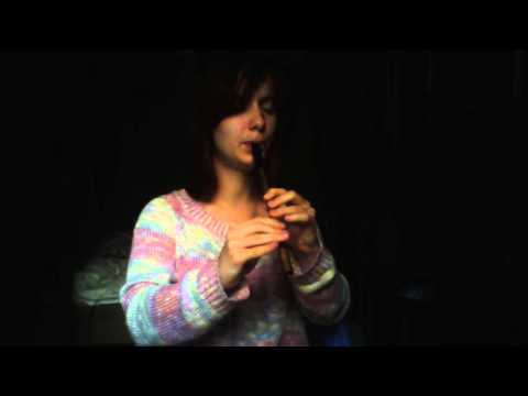 Foggy Dew (tin whistle)