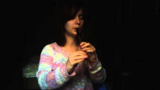 Foggy Dew (tin whistle)