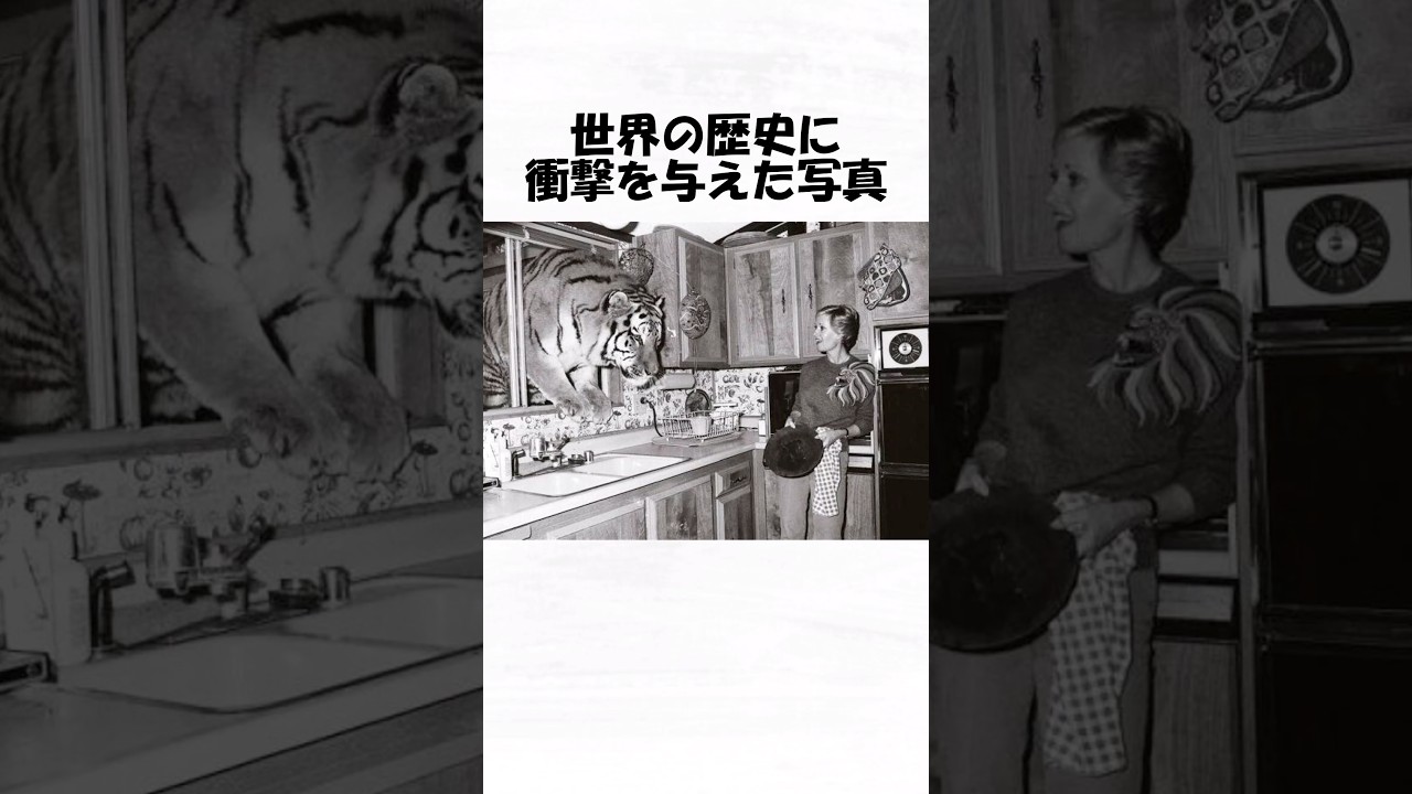 世界の歴史に衝撃を与えた写真１００ #shorts #日常 #トリビア #歴史 #雑学 #1分雑学