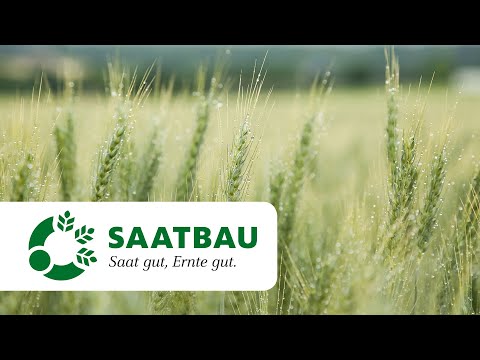 Moderne Getreideproduktion – Wintergerste und Winterweizen ernten | SAATBAU ACKERdemie Webinar