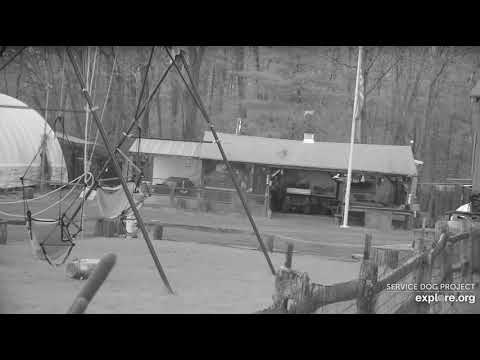 Phill cam  as day ends 1110pm 5102020