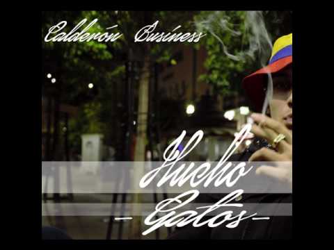 HUCHO CALDERON - GATOS  prod. HUCHO CALDERON