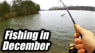 Everyone Else Stopped Fishing Because It's Too COLD! (Not Me)