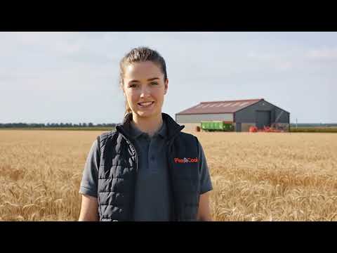 Welcome to Plug&Cool | Meet Lucy & Explore Our Products