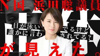 N国　浜田聡議員の正体
