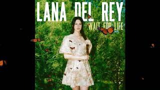 Lana Del Rey - Wait for Life (Official Audio)