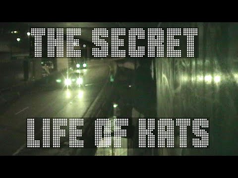 The Secret Life of KATS: Graffiti Documentary
