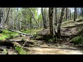 Лесной релакс, звук ручья HD (без посторонней музыки). Relax video, Sound of a river ...